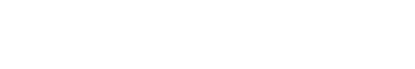 Record Premium Logo